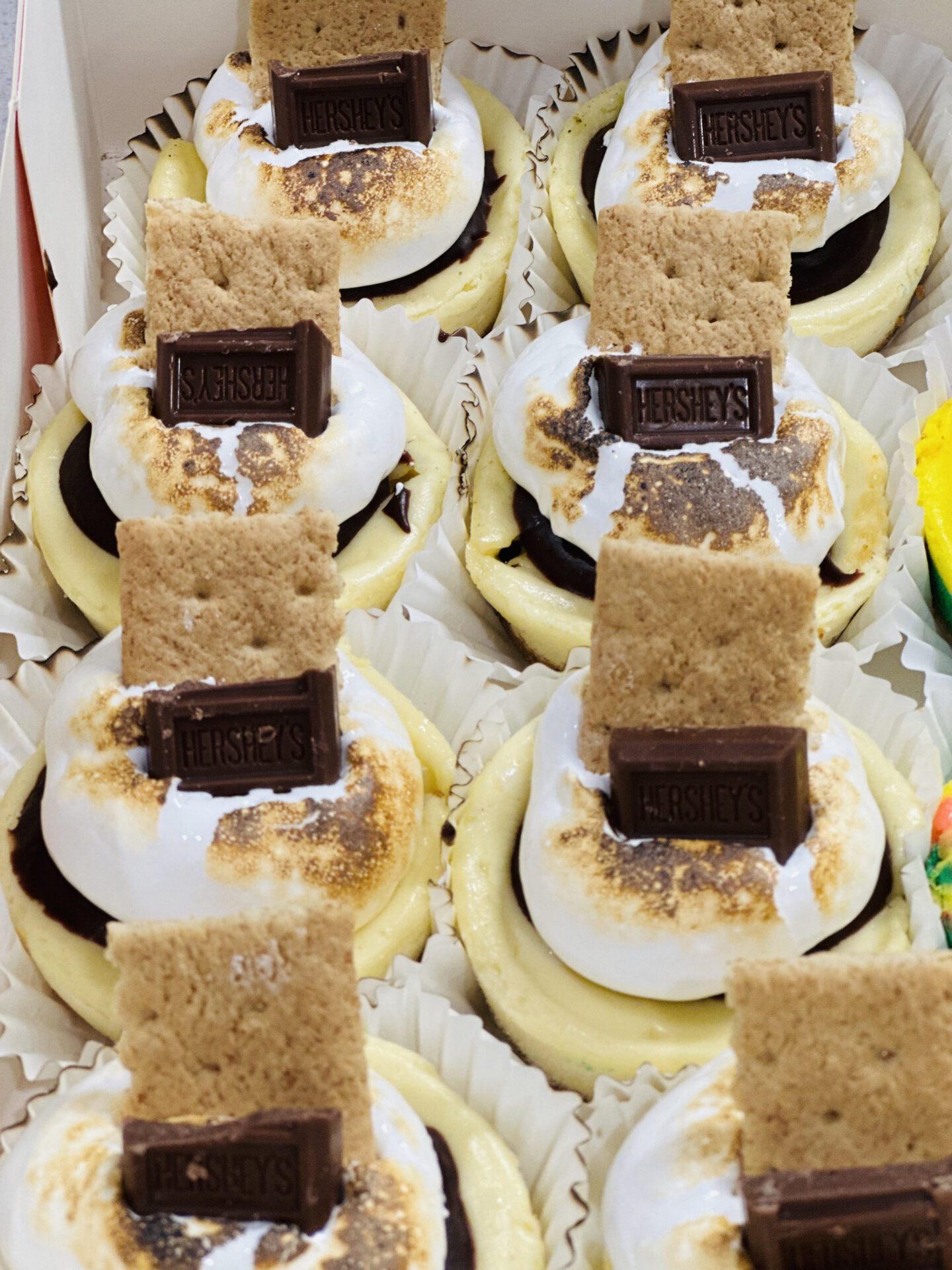 IMG_9648 A close-up of several s'mores cupcakes arranged in rows. Each cupcake is topped with toasted marshmallow frosting, a piece of chocolate, and a graham cracker rectangle. The cupcakes are in white paper liners.